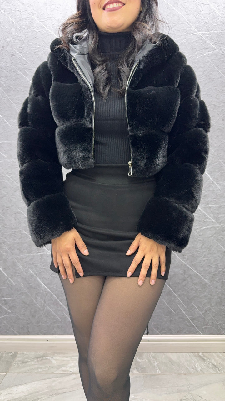 Teddy negro 005